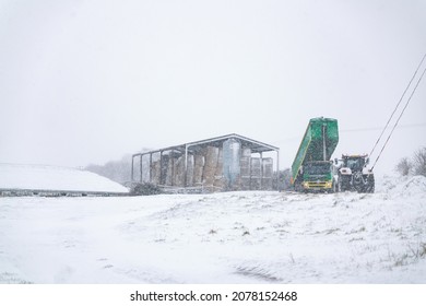 Woodbridge Suffolk UK February 07 2021: Farm Workers Trying To Take A Delivery While Fighting Against A Heavy Snow Storm And Blizzard