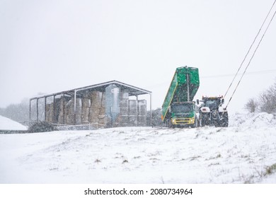 Woodbridge Suffolk UK February 07 2021: Farm Workers Trying To Take A Delivery While Fighting Against A Heavy Snow Storm And Blizzard