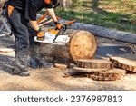 A woodcutter demonstrates the work of a chainsaw on sawing a thick log into thin slices on an autumn day.