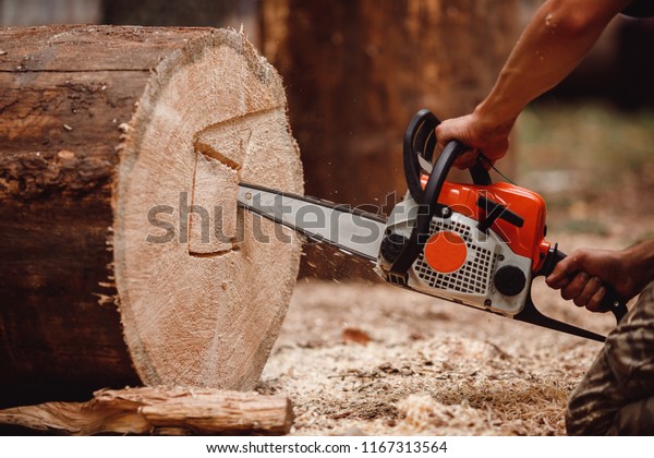Woodcutter man cuts core of infected tree.\
Concept termites.
