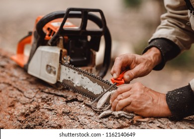 Woodcutter man repairs chainsaw, sharpens chain in forest - Powered by Shutterstock