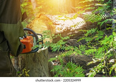 14,444 Woodcutter Job Images, Stock Photos & Vectors | Shutterstock