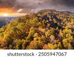 Wooded Appalachian mountains in North Carolina at sunset with yellow forest trees at fall season. Beauty of autumnal nature.