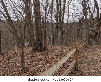 A wooded area with bare trees on a cloudy autumn or winter day. A rustic wooden fence runs along a path covered in fallen leaves, creating a quiet and natural scene. - Powered by Shutterstock