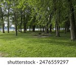 Wooded picnic area with tables, grills, and beach.