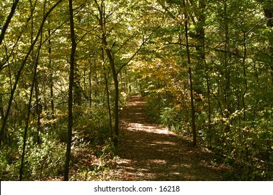 a wooded trail through autumn leaves