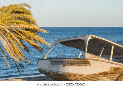 wooden abandoned boat and a palm tree at the beach with blue sea in the background - Powered by Shutterstock