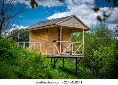 Wooden Api House, Hut In Barbale Organic Farm For Bee Therapy. Wooden Cottage. Wooden Cabin