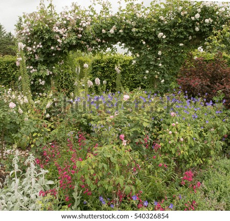 Wooden Arch Covered in Pale Pink Roses (Rosa) Behind a Colourful Herbaceous Border in a Country Cottage Garden in Rural Devon, England, UK.
