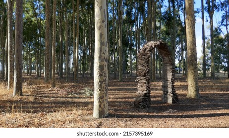 Wooden Archway Constructed In A Forest Se