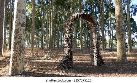 Wooden Archway In The Eucalypt Forest