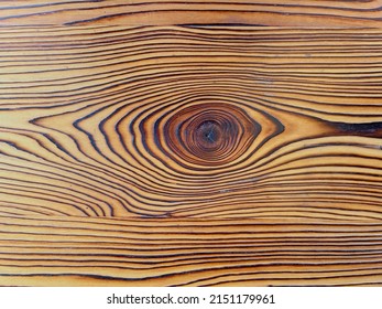 Wooden background or texture. Burnt wood with knots. High quality photo