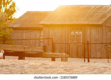 Wooden barracks on the beach with boarded up windows in the rays of the setting sun. Artistic lens flare effect and sunflares. Summer vacation and travel concept