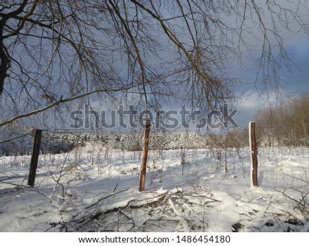 Similar – Windig heute Umwelt Natur