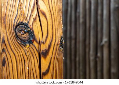  Wooden Beam Close Up. Wooden Background With Place On The Inscription