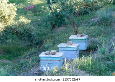 Wooden beehive boxes in the meadow. Beekeeper concept.