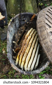 A wooden beehive containing honeycomb full of sweet golden honey. Ready for harvest. Picture taken in Shaanxi Province in China.
