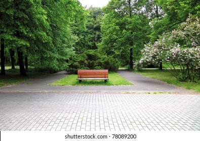 Wooden Bench In A City Park