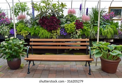 Wooden bench in colorful lush garden greenhouse - Powered by Shutterstock