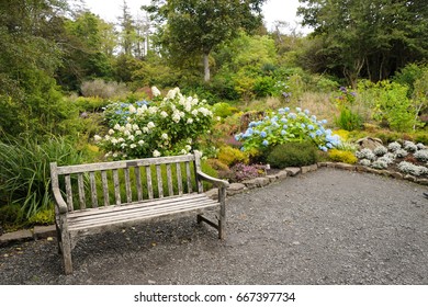 A Wooden Bench In An English Park.