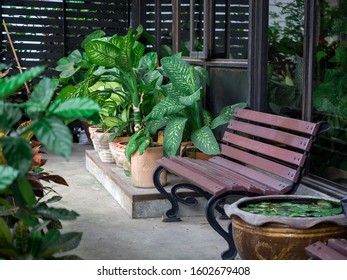 Wooden bench in front of the glass door surround with green leaves in pot plant on concrete floor, indoor garden  decoration. - Powered by Shutterstock