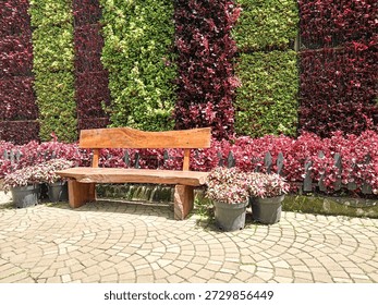 A wooden bench in front of a wall with climbing ornamental plants adds an aesthetic and exotic touch. The long brown bench features a backdrop of purple and green ornamental plants.