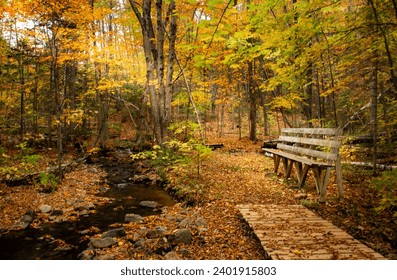 Wooden bench in a hiking trail - Powered by Shutterstock