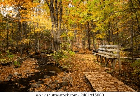 Wooden bench in a hiking trail