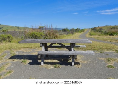 A Wooden Bench In The Middle Of The Park, In The Middle Of Nowhere.