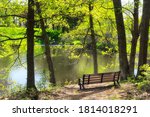 A wooden bench overlooking a small pond within the Spear Farm Estuary Preserve in Yarmouth Maine on a sunny day in New England. 