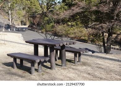 Wooden bench in a park in the woods