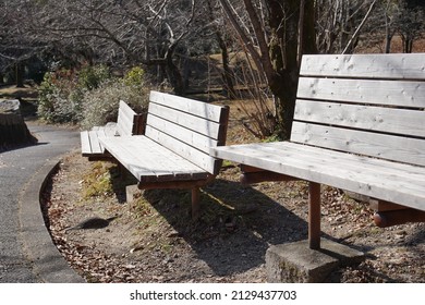 Wooden bench in a park in the woods