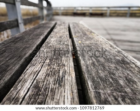 Wooden bench and a path in the park