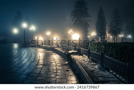 Wooden bench in the snow in a winter night park in the fog. Footpath in a winter city park at night in fog with benches and latterns. Beautiful foggy evening in the Mariinsky Park. Kiev, Ukraine.