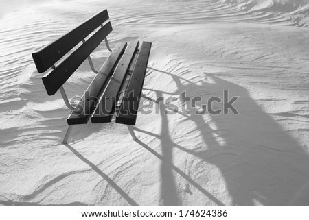 Wooden bench in snowy white landscape 
