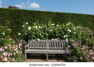 8,575 Rose cottage garden Images, Stock Photos & Vectors | Shutterstock