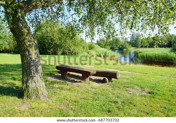 Wooden Benches Among Trees Idea Making Stock Photo Edit Now