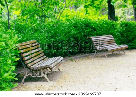 Wooden benches for relaxing in green spring or summer shady city park, botanical garden in sunny day. Green bushes with young fresh leaves in focus. Seat, chair, benches for rest on a street outdoors.