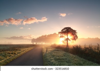 Wooden Bike Path On Lake Water At Sunrise, Netherlands