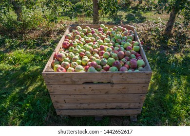 wooden bins for sale