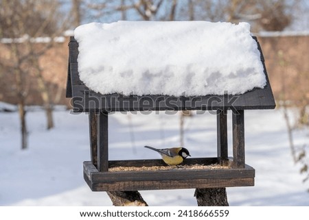 Wooden bird feeder in the form of a house on an winter garden. Behavior of birds at feeder with seeds. There are tits in feeder. Birds at the feeder