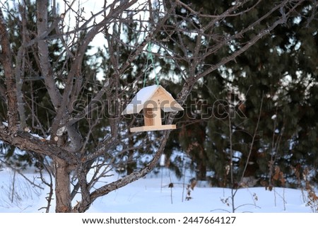 A wooden bird feeder hangs on a branch of an apple tree in a rustic garden in winter against a background of cedar trees. Horizontal photo