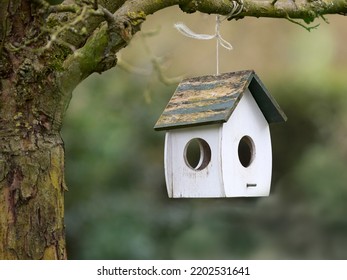 Wooden Bird Feeder House Pending In Tree