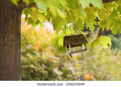 a wooden bird feeder suspended from a maple branch on an autumn day. selective focus on the part of the feeder
