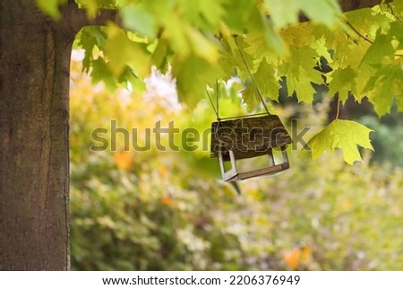 a wooden bird feeder suspended from a maple branch on an autumn day. selective focus on the part of the feeder