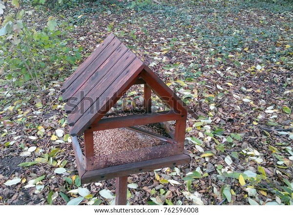 Wooden Bird Feeder Urban Park Autumn Stock Photo Edit Now 762596008