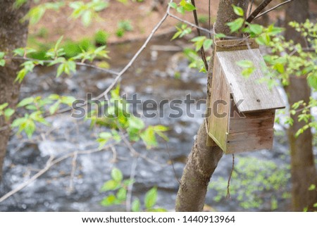 wooden bird house on a tree by the river