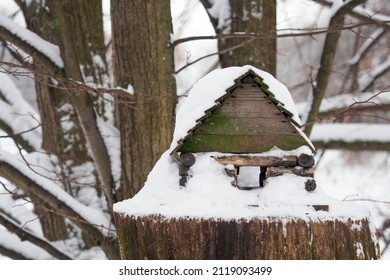 Wooden bird and small animal feeder on stump in the winter forest. Caring for the environment