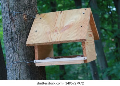 Wooden Birdcage Hanging On The Tree