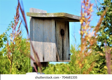 Wooden Birdhouse - Shutterstock ID 704681335